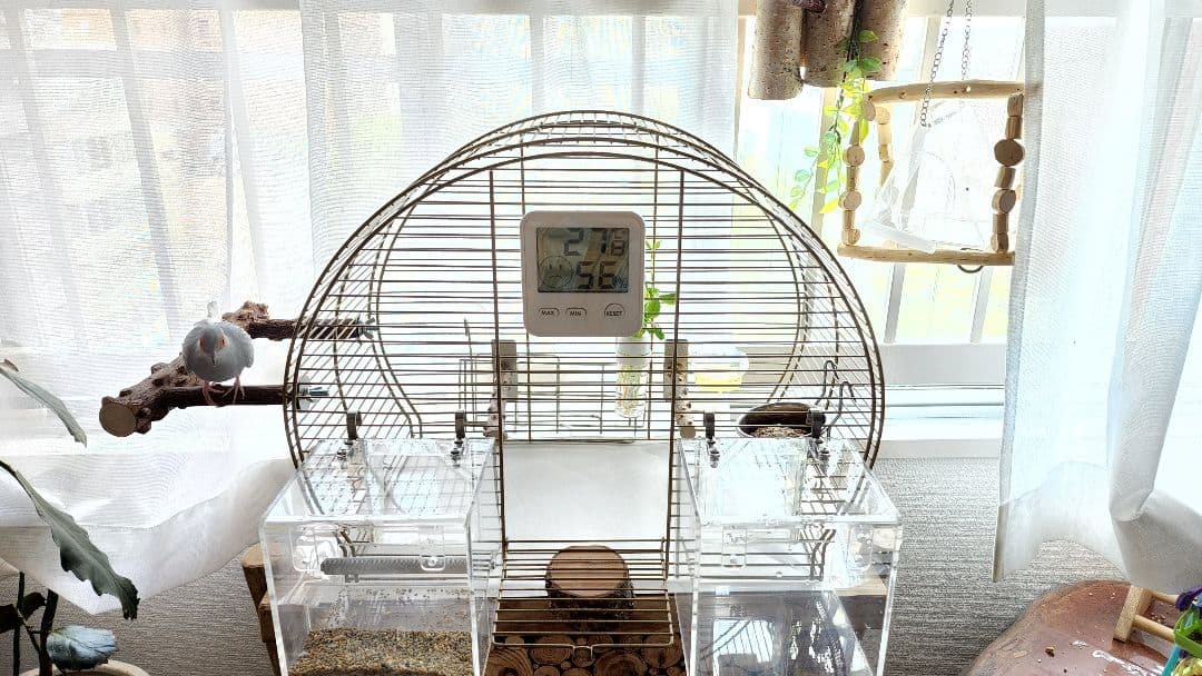 鳥かご 44.5cm x 25cm ヨーロッパ 輸入 ケージ