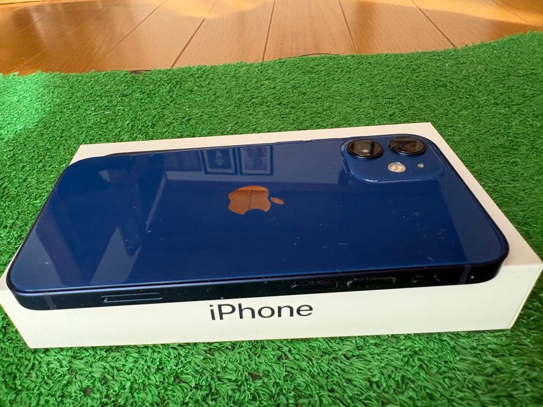Apple iPhone 12 青色 本体 充電ケーブル付き