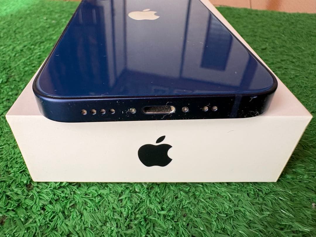 Apple iPhone 12 青色 本体 充電ケーブル付き