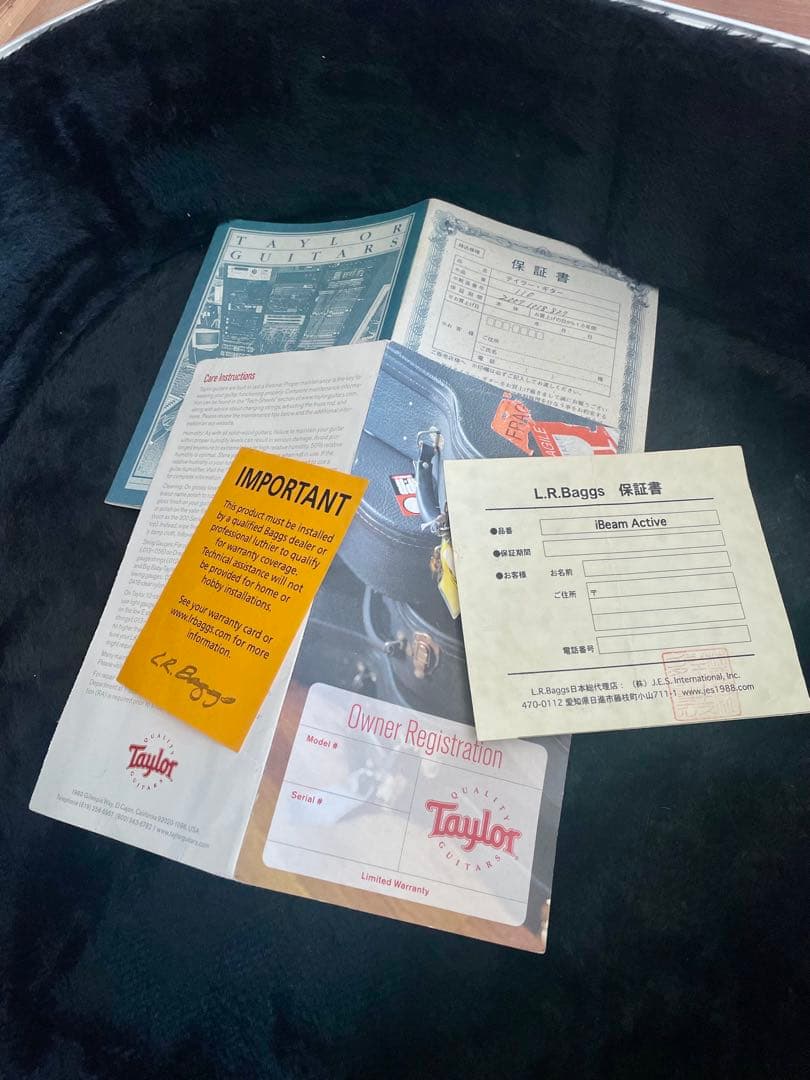 早いもの勝ちです　テイラー110 高感度マイク内蔵　エレアコ　新ハードケース