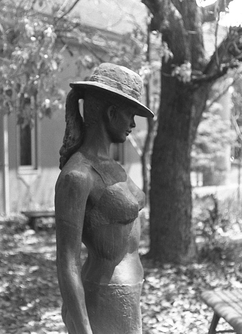 【整備済完動美品】Olympus-PEN F/F.Zuikoレンズ