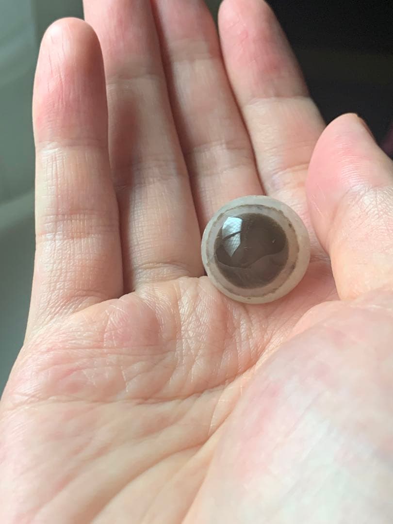 アラシャンゴビアゲート　蒙古瑪瑙　原石　水石　翡翠　オパール　根付　天珠 翡翠