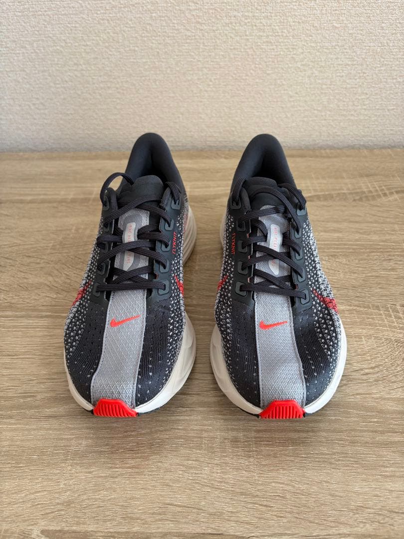 １回使用 ナイキ ペガサスプラス NIKE 25cm メンズ