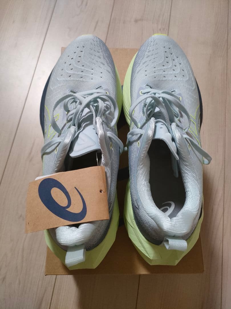 ASICS NOVABLAST4　 ライトグレー　28.0cm