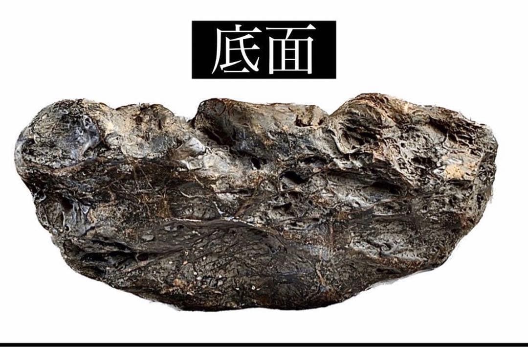 4179 天竜川大ジャグレ真黒石 天龍川石 天竜川石 ウブ 置物 自然石 鑑賞石