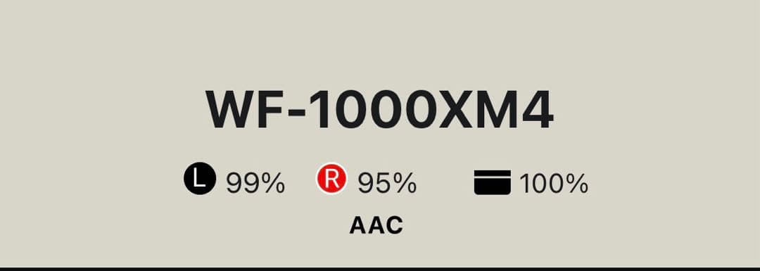 【もしもまま専用】 SONY WF-1000XM4 ワイヤレスイヤホン