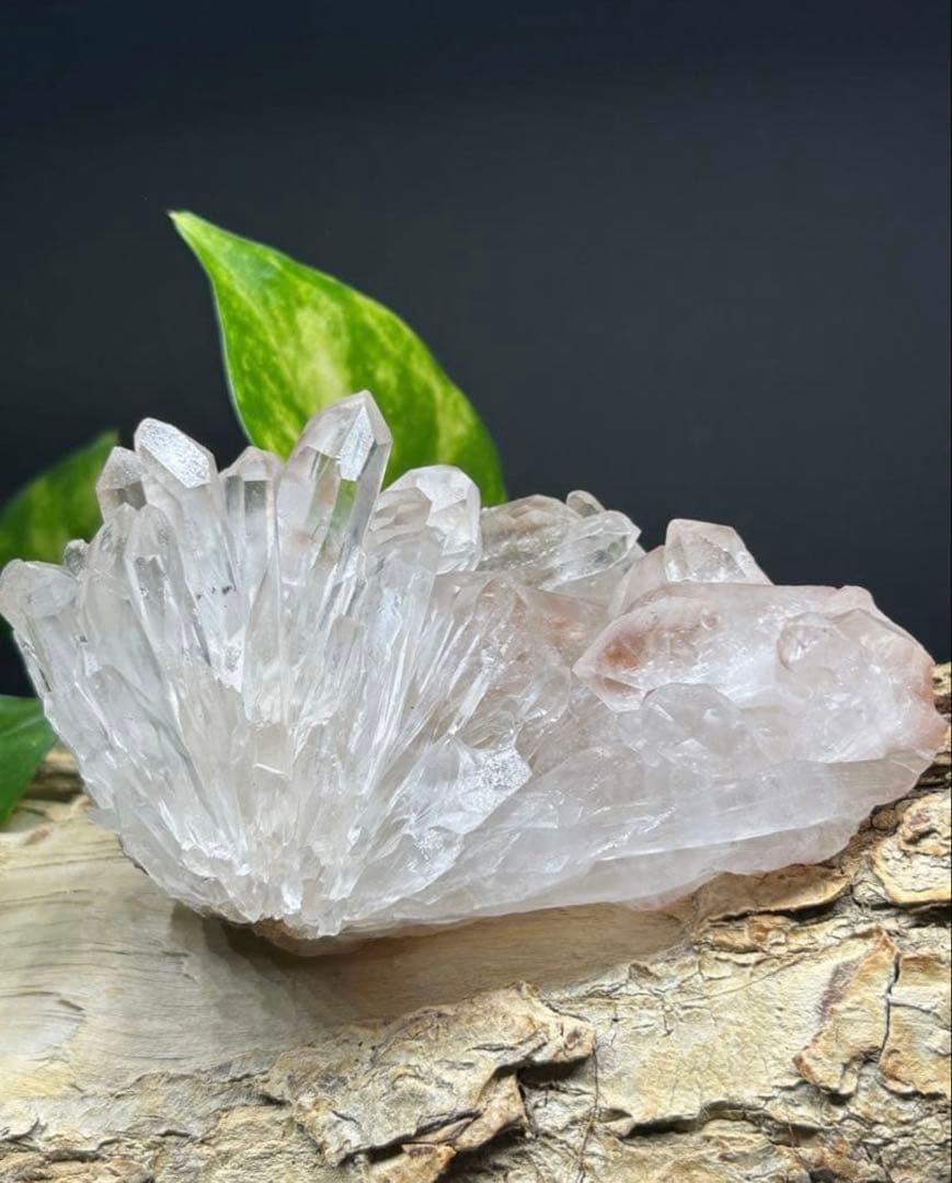 【爆レア☆聖美☆結晶】ピンク系マニカラン産　ヒマラヤ水晶クラスター