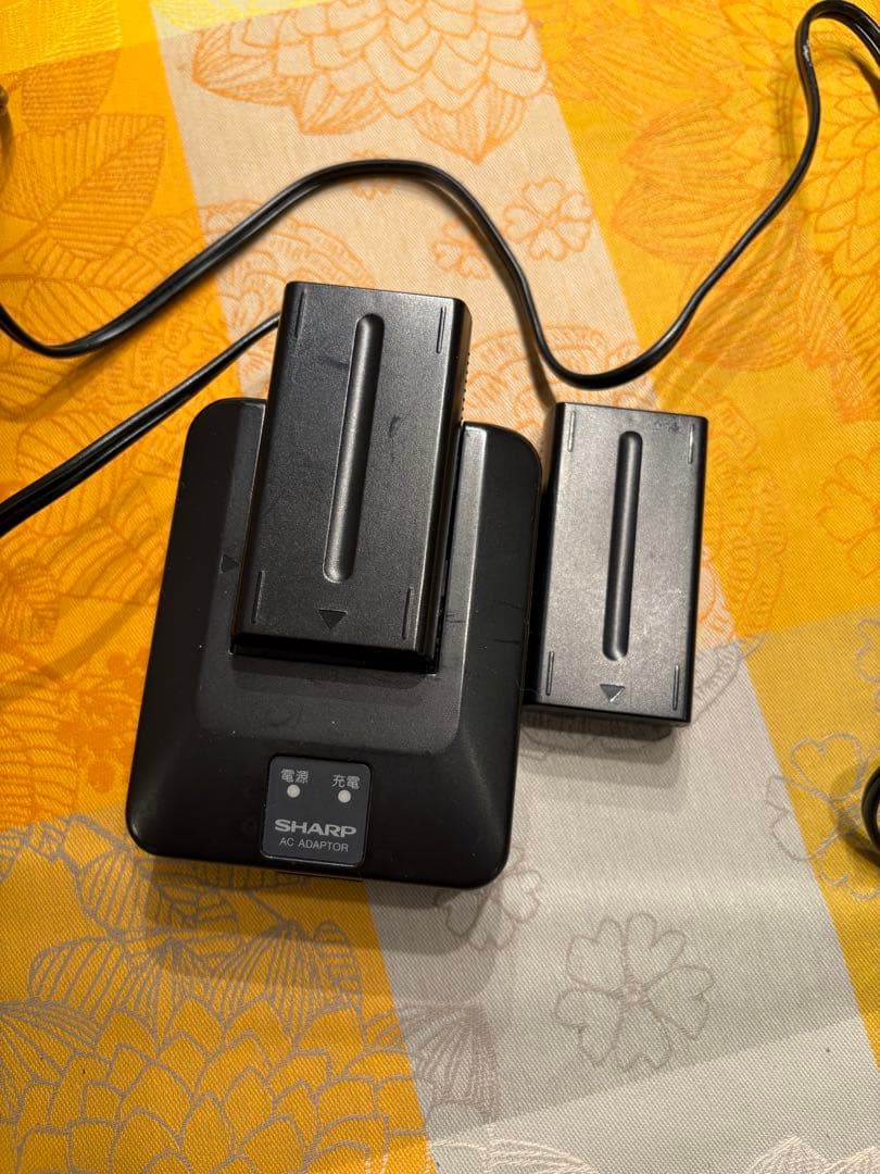 SHARP シャープ VL-FD1 液晶デジタルビューカム ビデオ　バッグ有