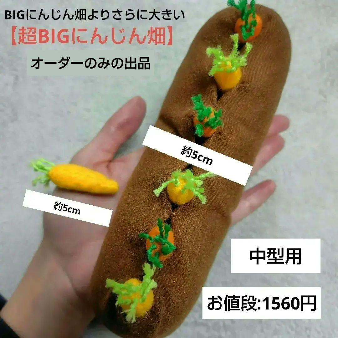 【オーダー用】にんじん畑　おもちゃ　ぬいぐるみ　バードトイ