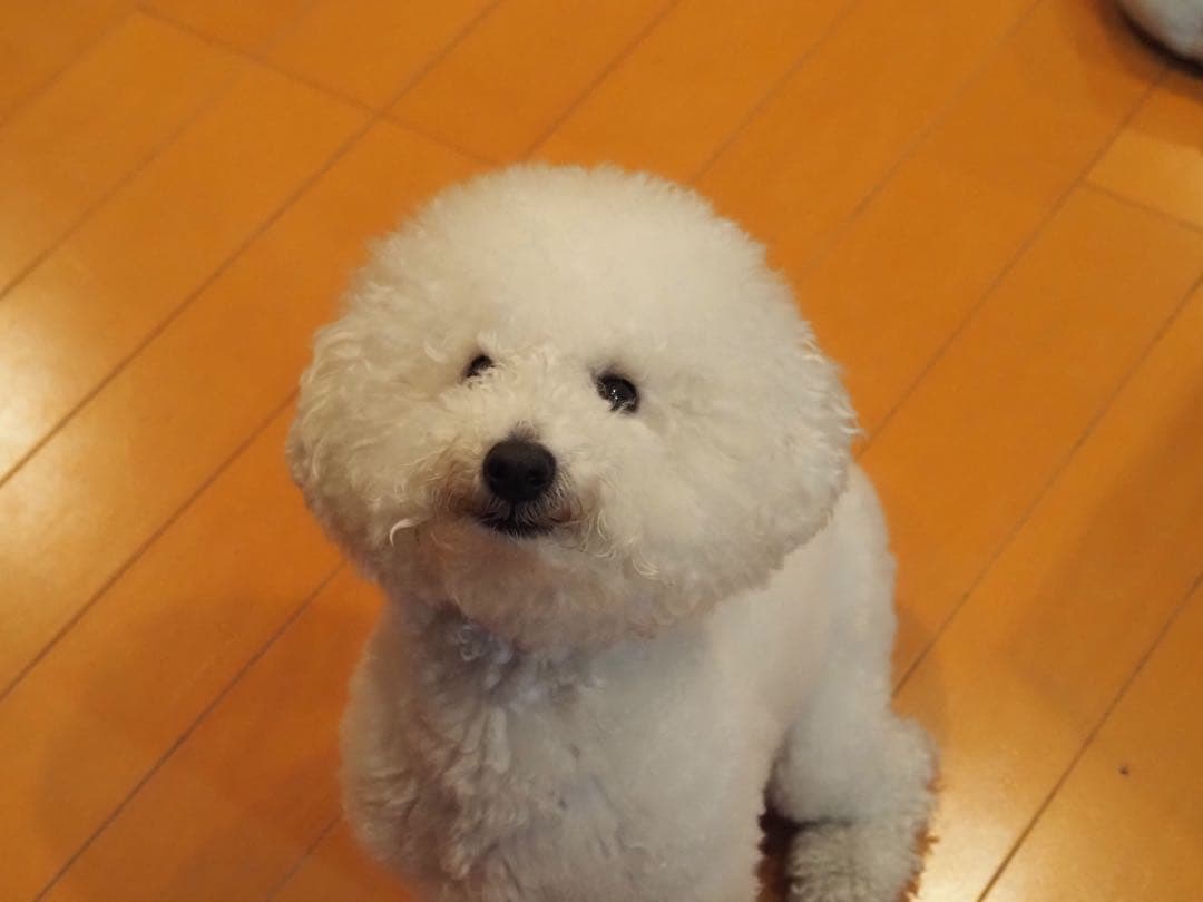 OLYMPUS OM-D E-M5Mark3 ＆Leicaレンズ