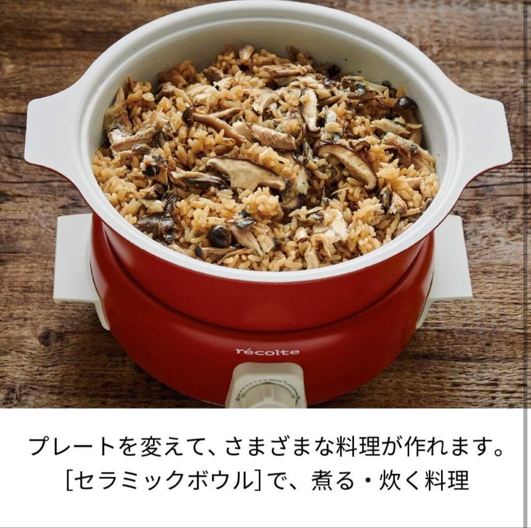 未使用品　recolte ポットデュオ タント　RPF-2 グレージュ