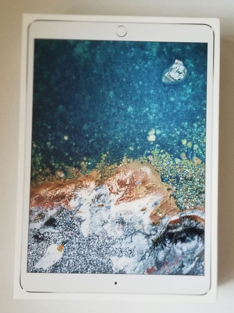 iPad Pro10.5 256gb　Wi-Fiモデル　シルバー