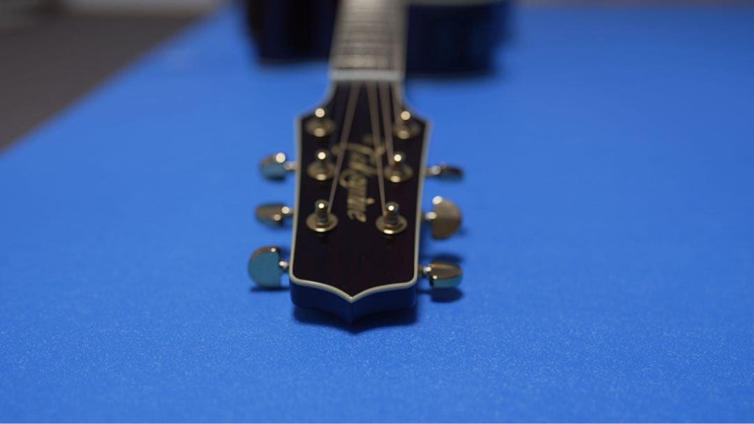 ギター Takamine DMP551C WR