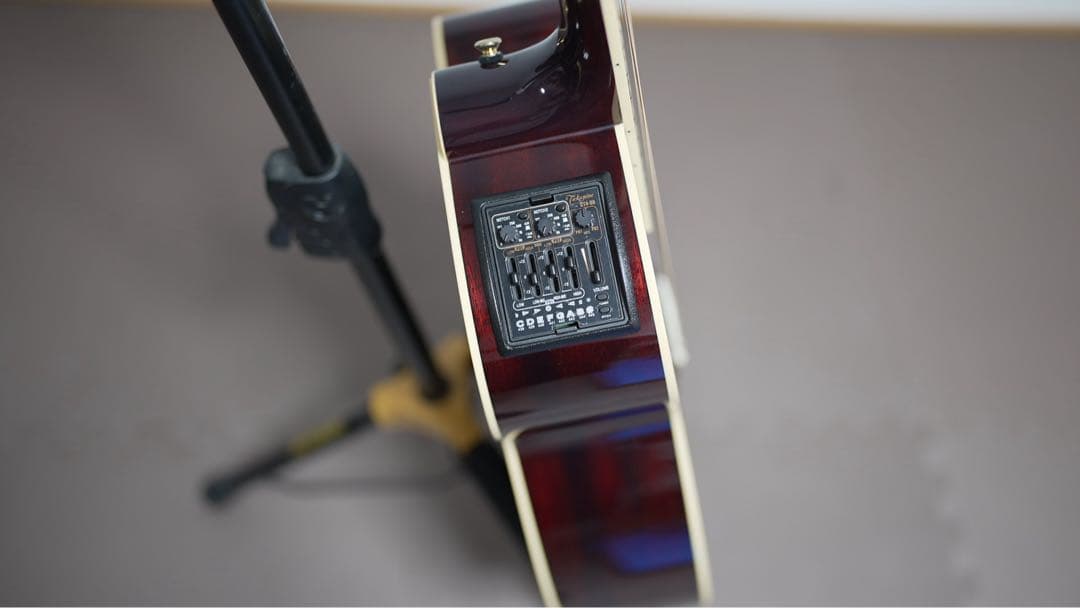 ギター Takamine DMP551C WR