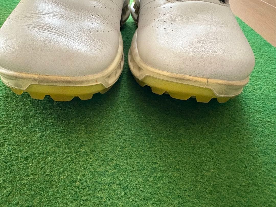ECCO GOLF BIOM C4 ホワイト 43