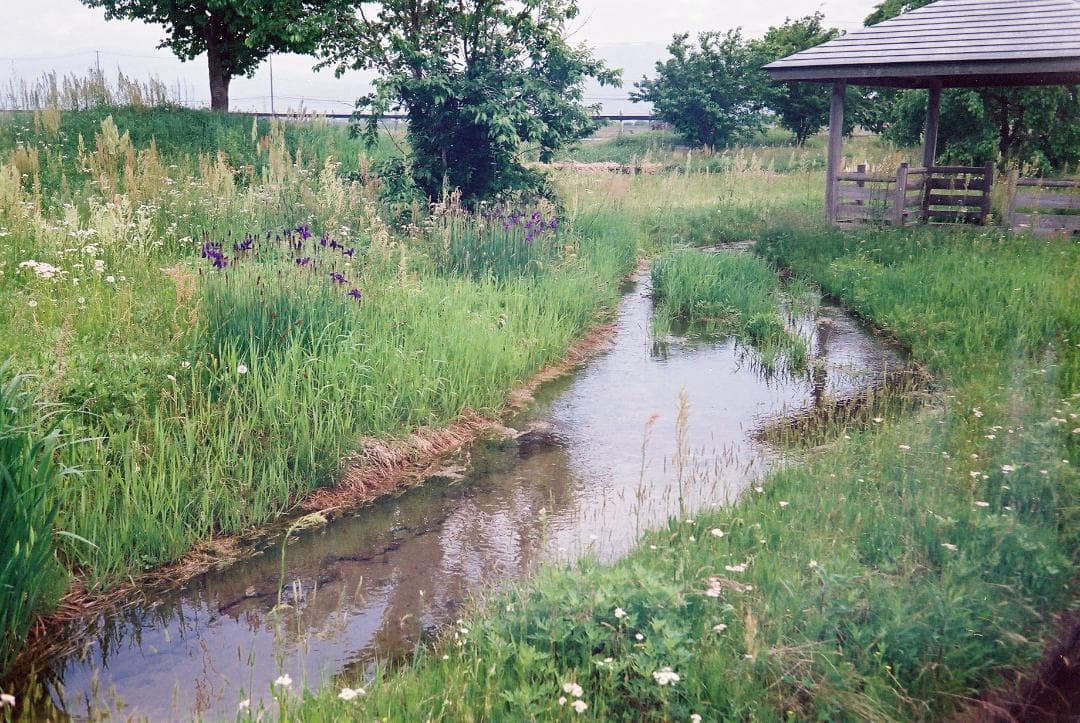 【実写確認整備品】キャノンVLボディーのみ