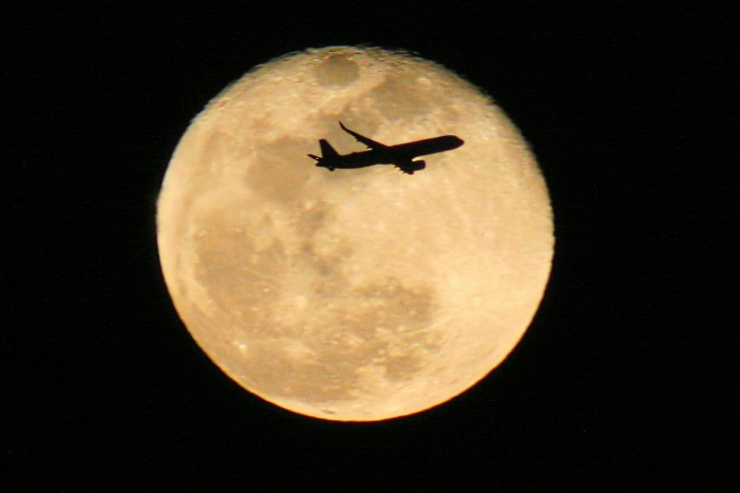 ま*や様 Canon EOS デジタル一眼レフカメラ 800mmレンズ付き