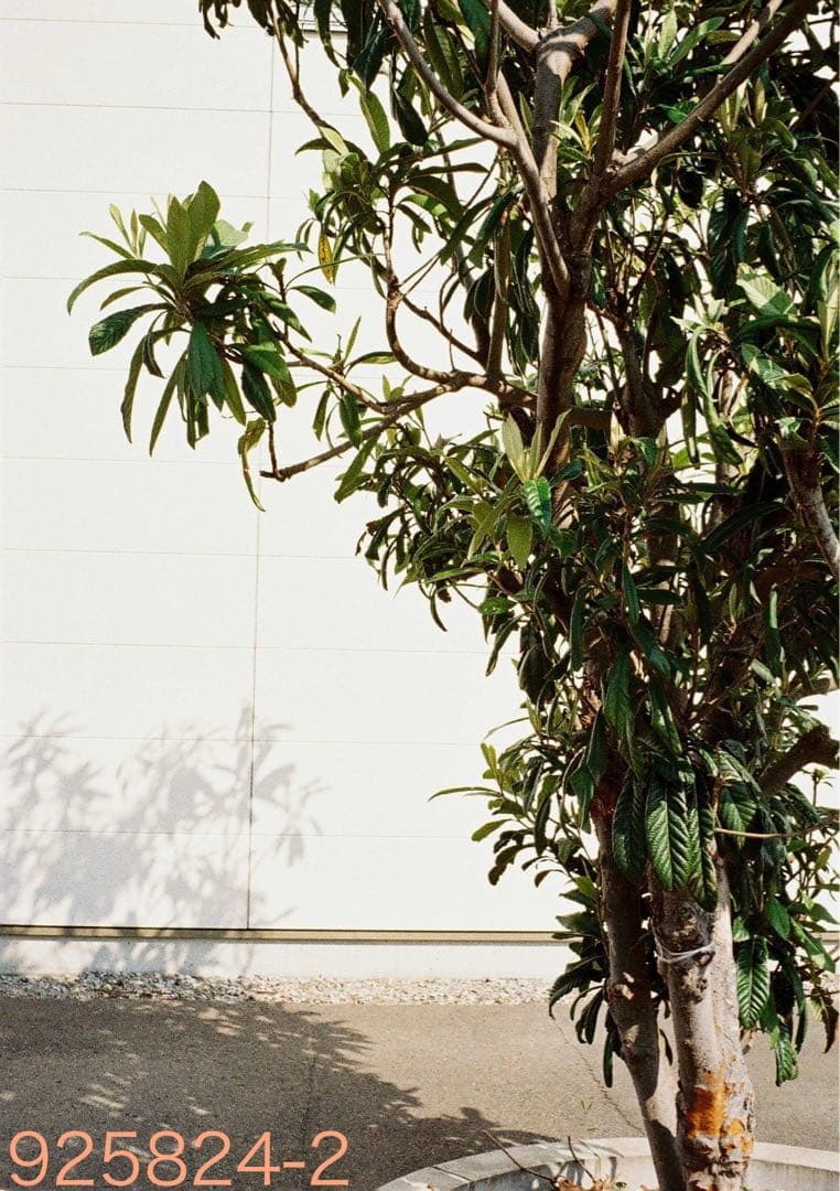 リコー　オートハーフ　 Ricoh AUTO HALF SE ブラック