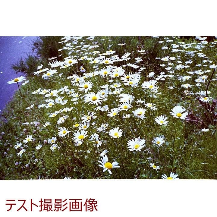 OLYMPUS AF-1 TWIN フィルムカメラ中古 点検とテスト撮影済送料込