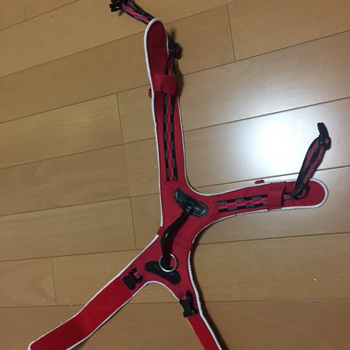 犬の車いす (ある犬ねん)