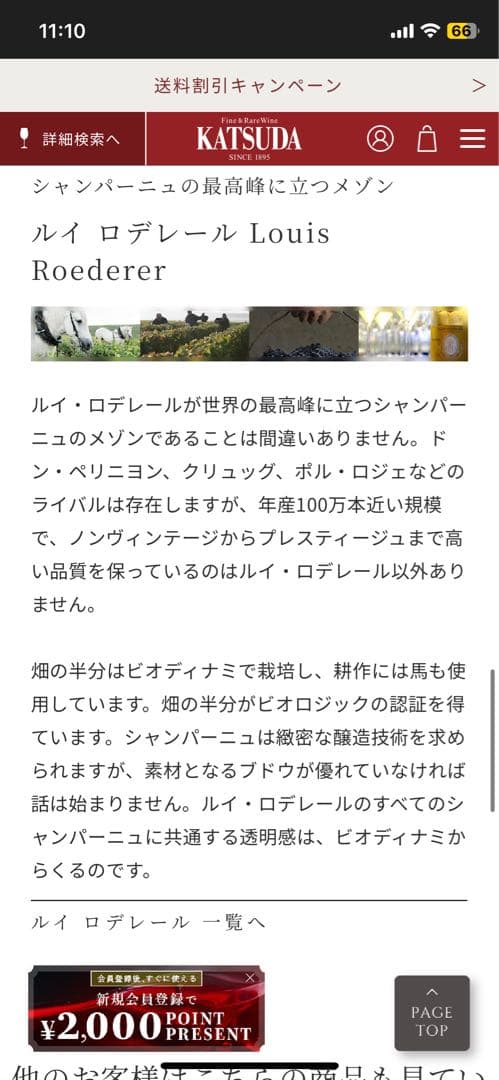 コトー シャンプノワ ブラン オマージュ ア カミーユ 2019 ルイロデレール