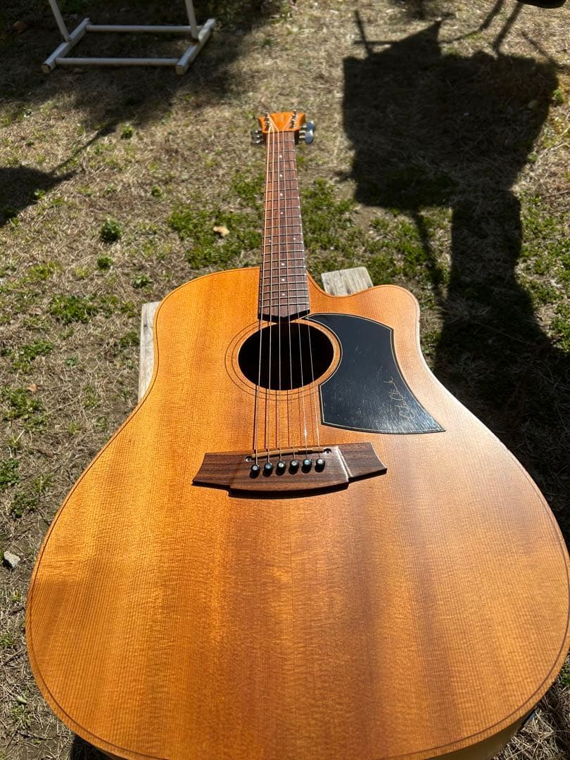 Cole Clark (オール単板)