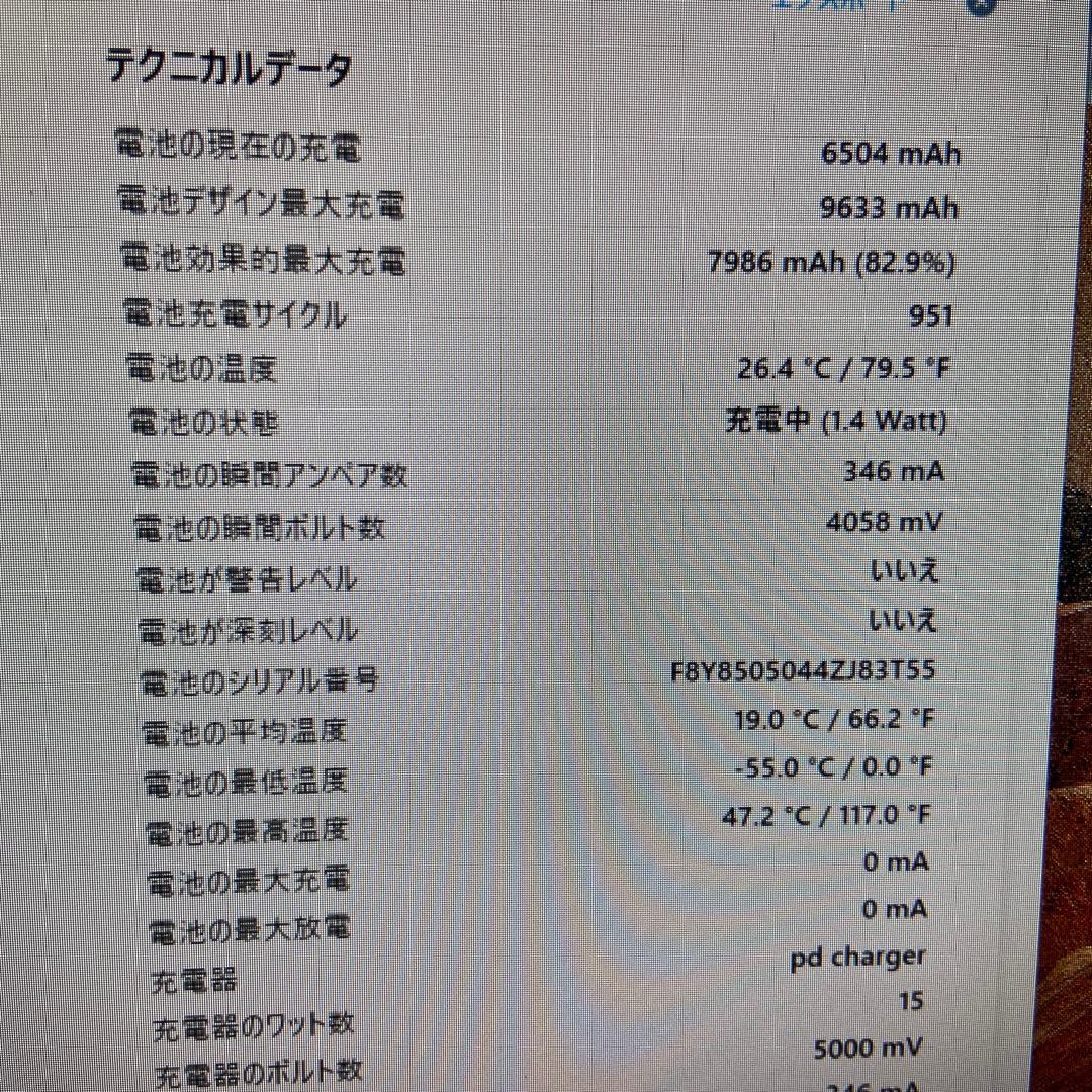 iPad Pro 12.9インチ　256GB wifi 第3世代