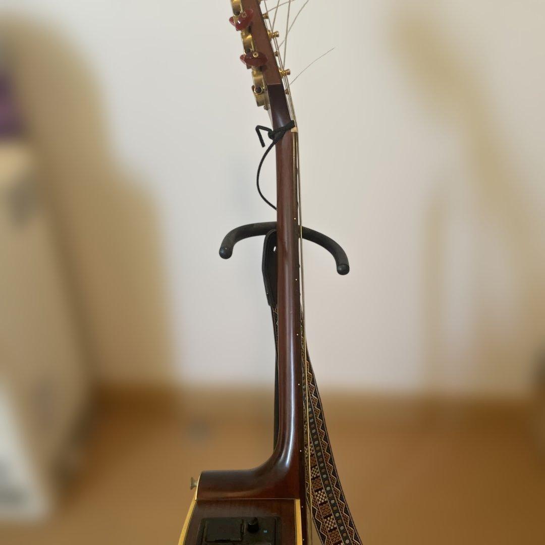 Takamine NPT-012BS アコースティックギター