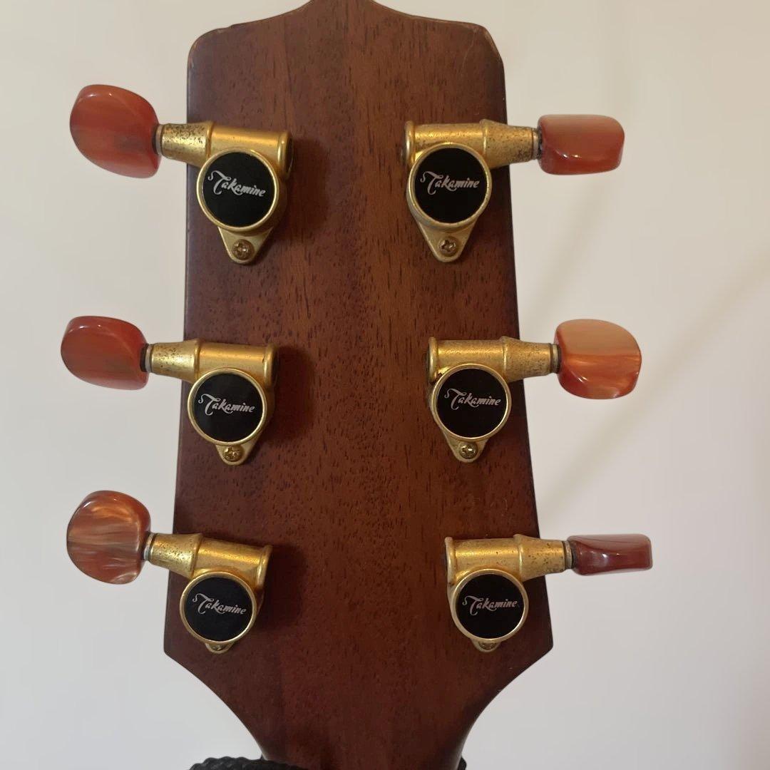 Takamine NPT-012BS アコースティックギター