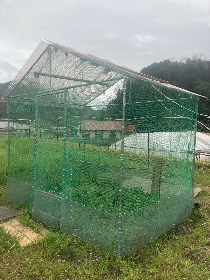 鶏や小動物用飼育ケージ 6㎡