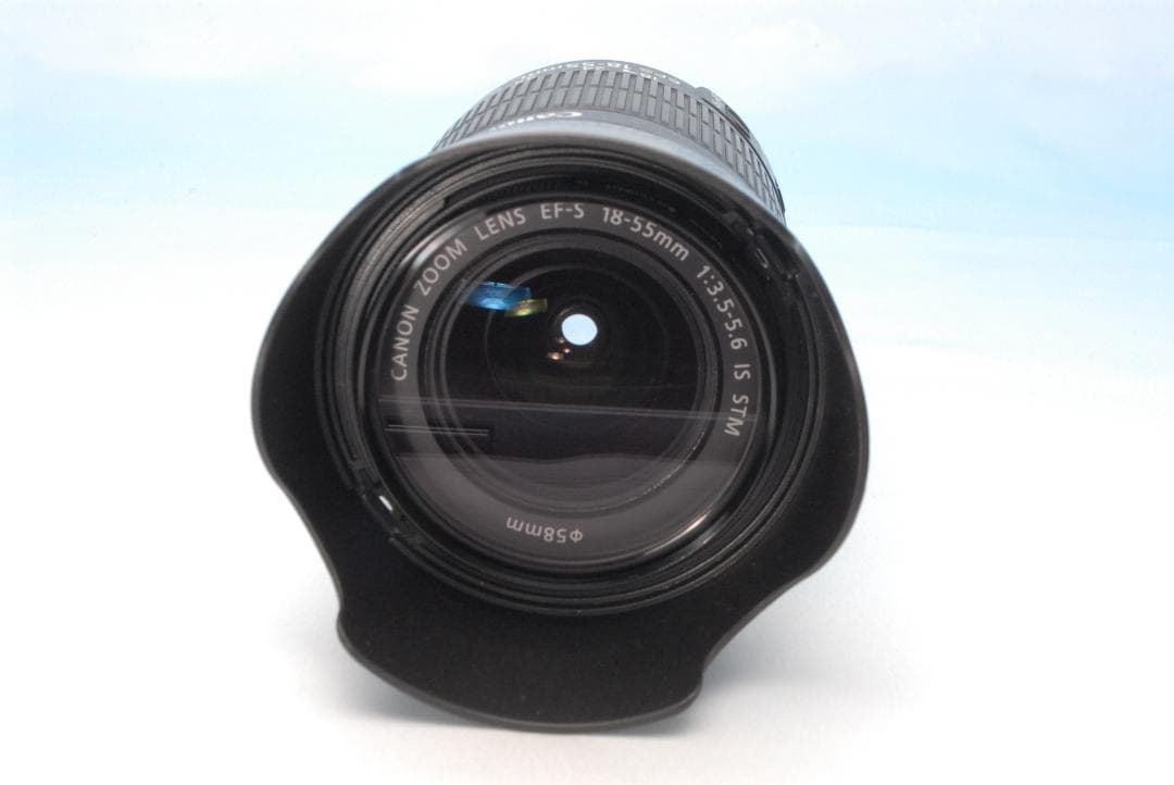 ✨Wi-Fi転送✨キヤノン EOS 8000D 手振れ補正 初～中級 長く使える