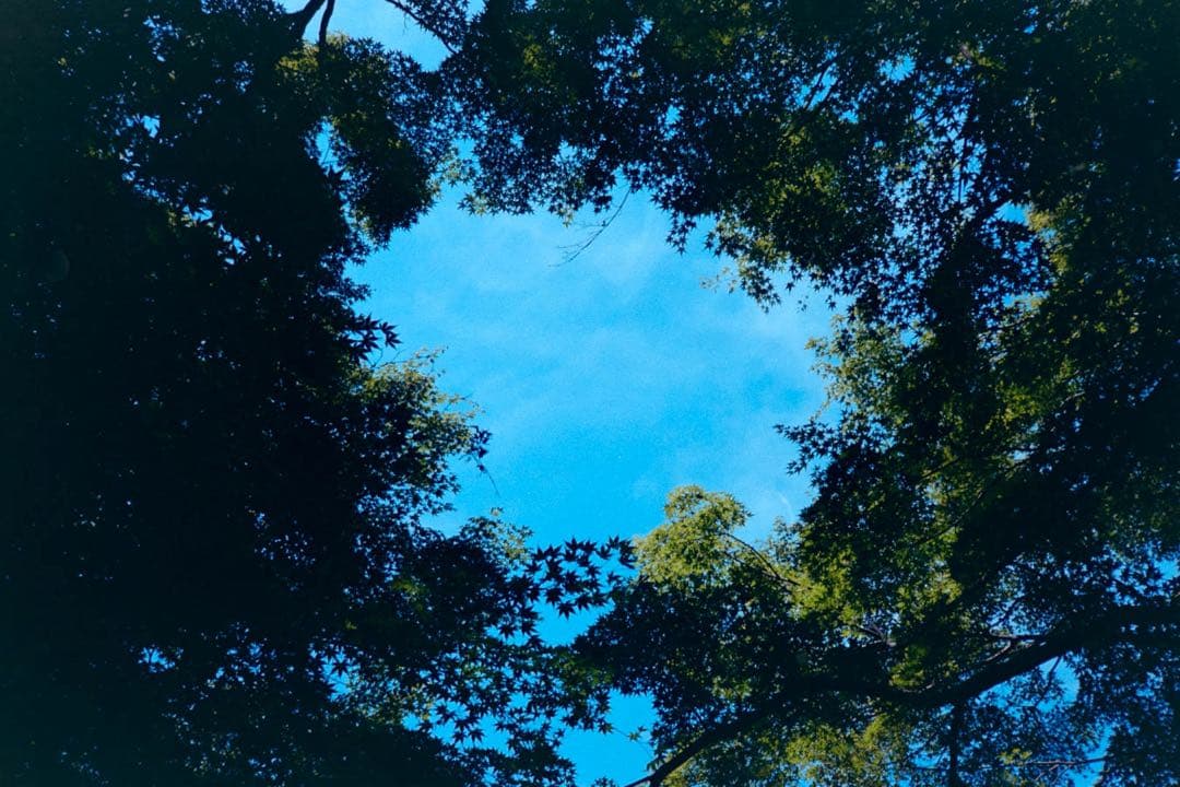 【動作品•現像確認済】コニカ Konica Big mini BM-301