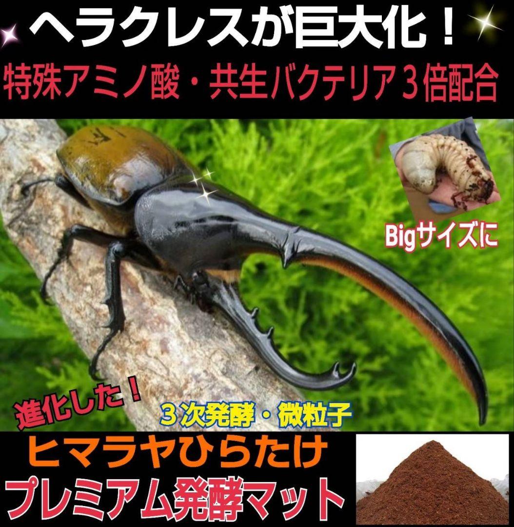 ヘラクレス幼虫が大きくなる！プレミアム3次発酵マット【60リットル】産卵にも抜群