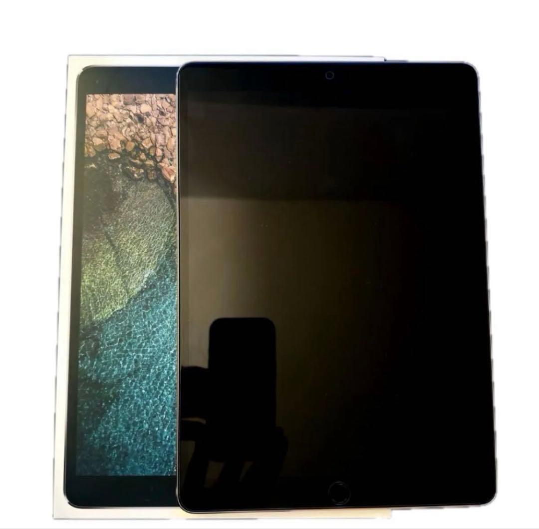 Apple iPad Pro (10.5インチ) 64G 本体　美品