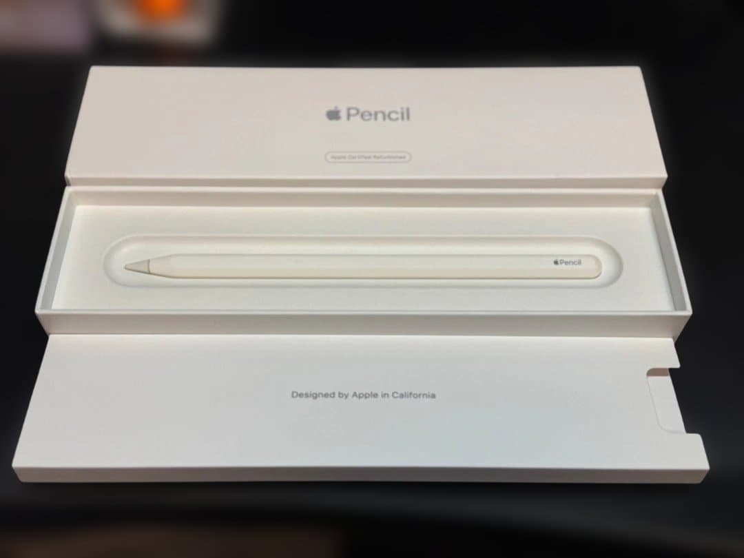 iPad Pro 本体 ApplePencil2 ケース2個付