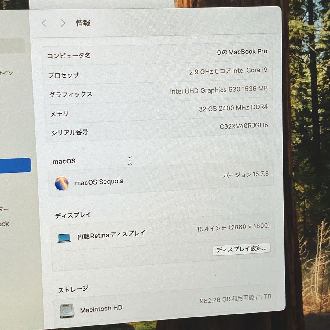 MacBook Pro 15.4インチ（外箱付）2019/i9/32GB/1TB