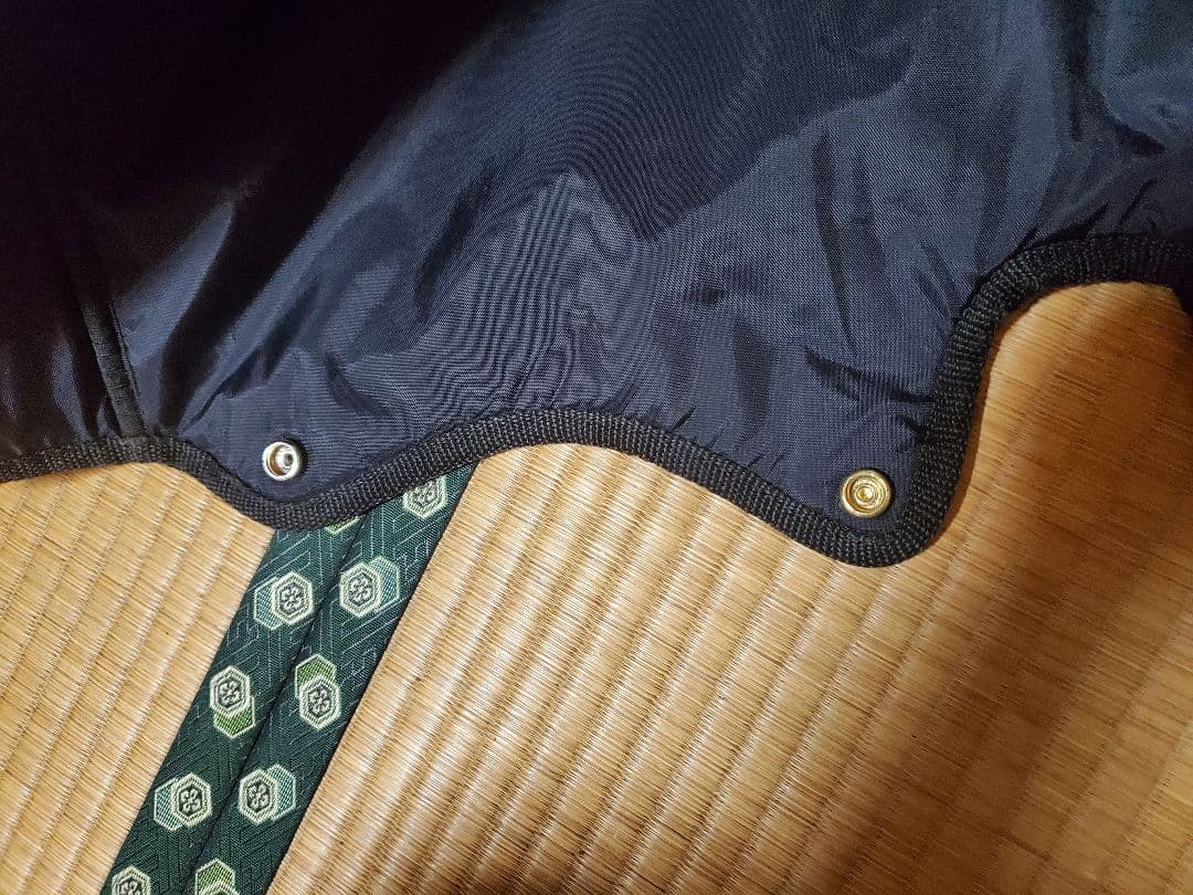 ミズノプロ　キャディーバック9.5型