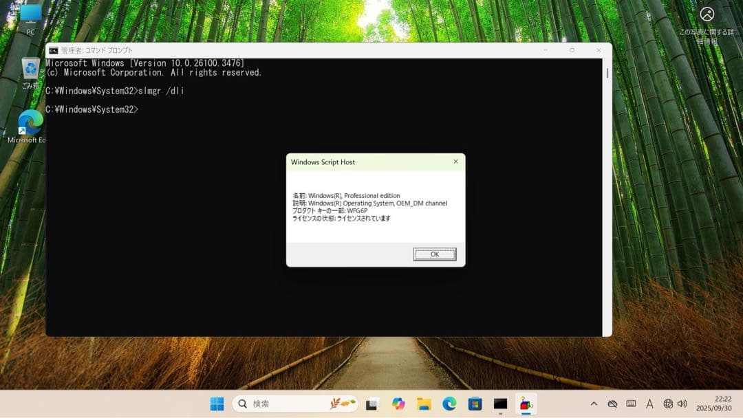 【GMKtec】Nucbox K8 Plus