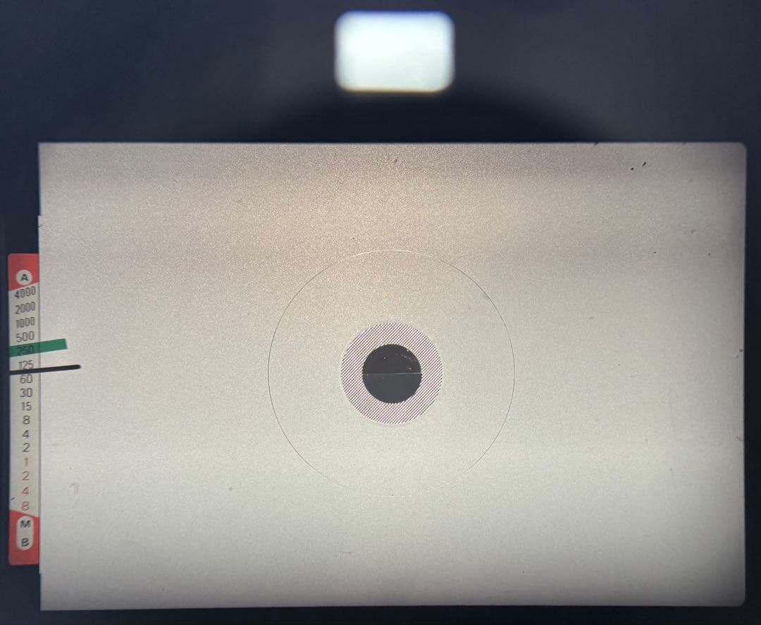 【モルト交換済】Nikon FE2 ブラック フィルム一眼レフカメラ