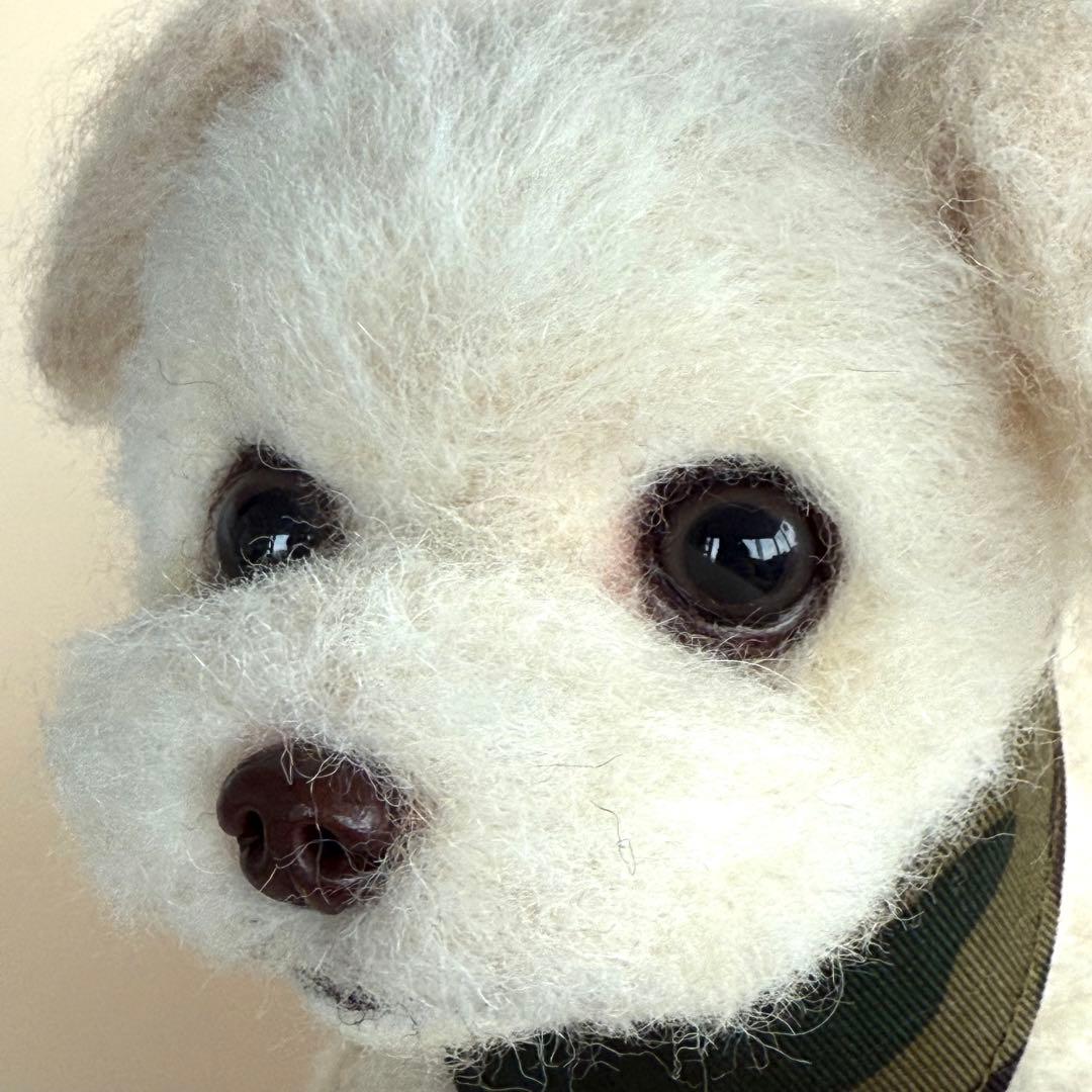 HFオーダーページ