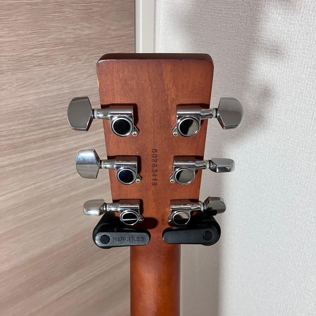 【ケース付】アートルシアー　Dreadnought CEDAR