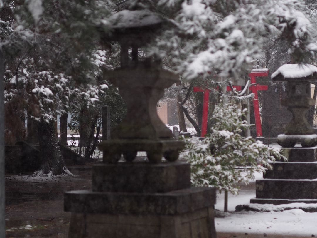 レンズ(単焦点) AstrHori 50mm f/1.8 - f/16