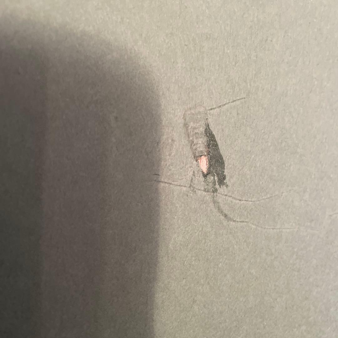 大谷翔平　額装入り直筆サイン入りオーセンティックユニフォーム　ファナティクス社