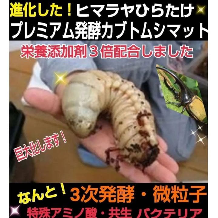 【4セット】10リットルケース入☆プレミアム発酵カブトムシマット☆幼虫入れるだけ
