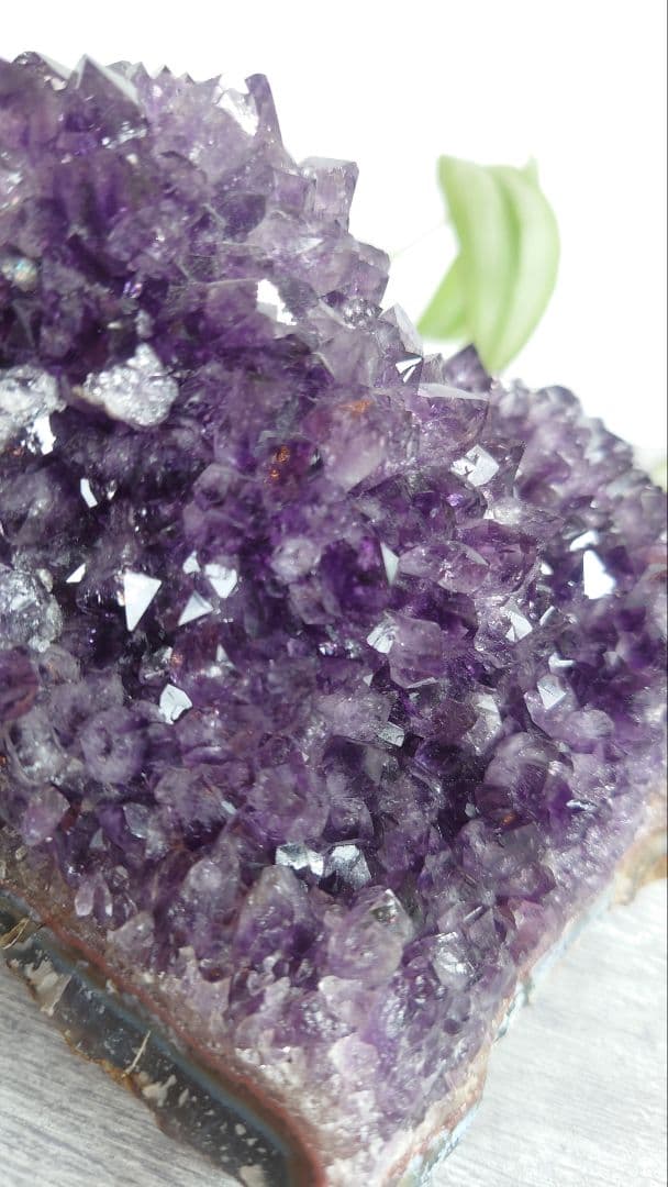 珍しい！コブ付きウルグアイ産アメジストクラスター