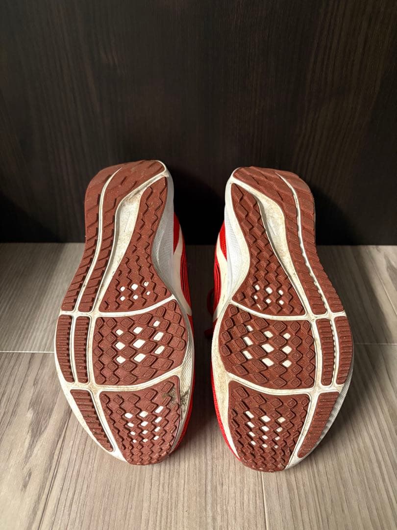 Nike Pegasus 40 レッド 25.5cm