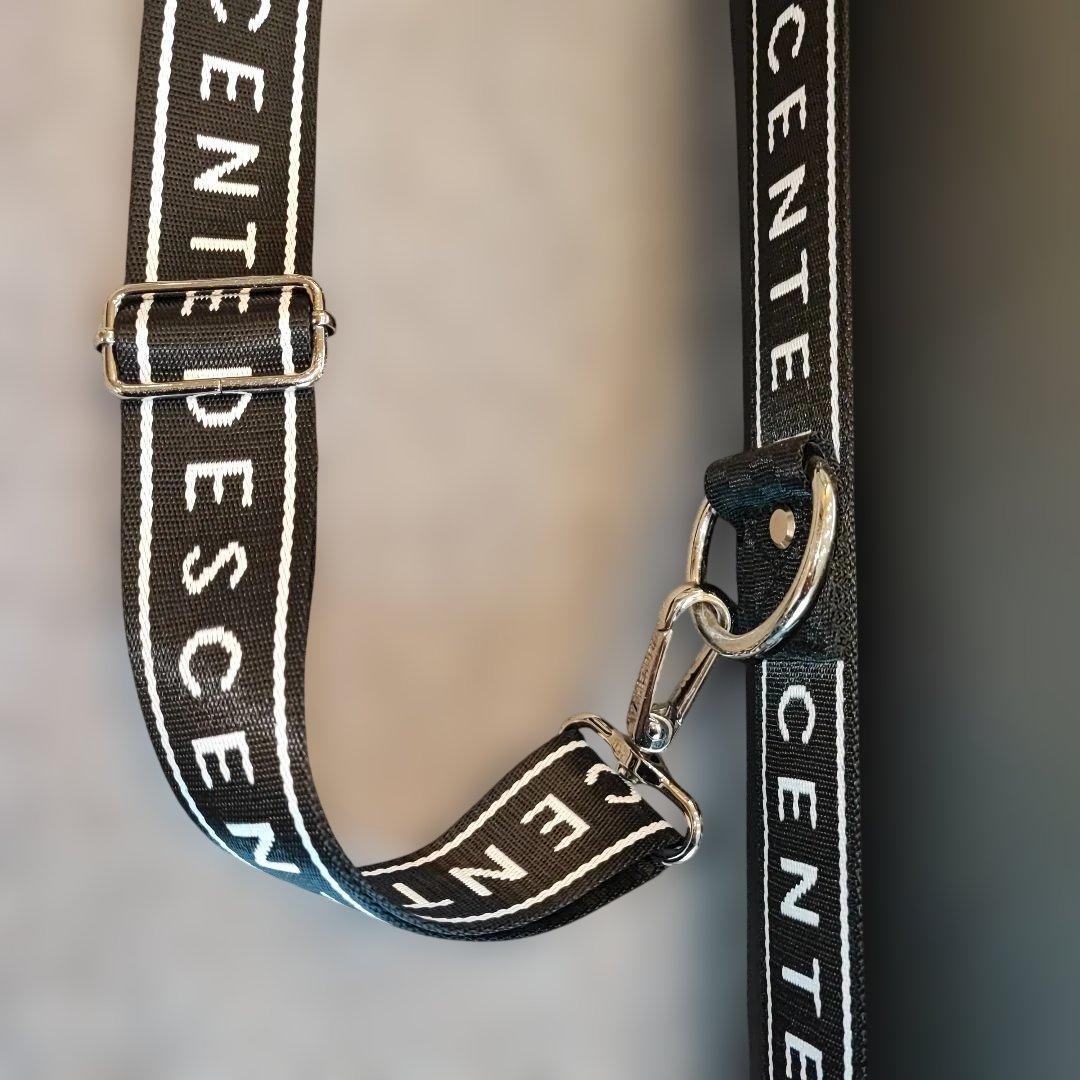 【人気】デサント クラブケース 自立型 ブラック DESCENTE