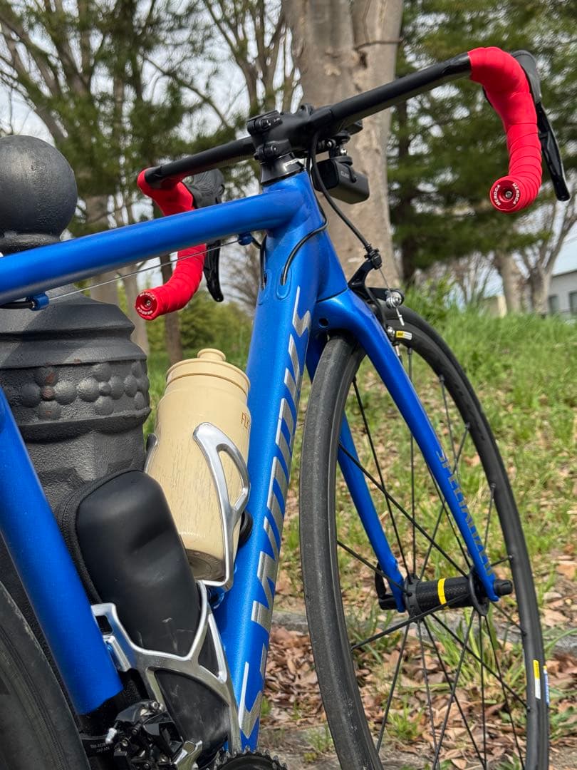 世界に一つ！！ S-WORKS リペイント ロードバイクフレームtop51cm