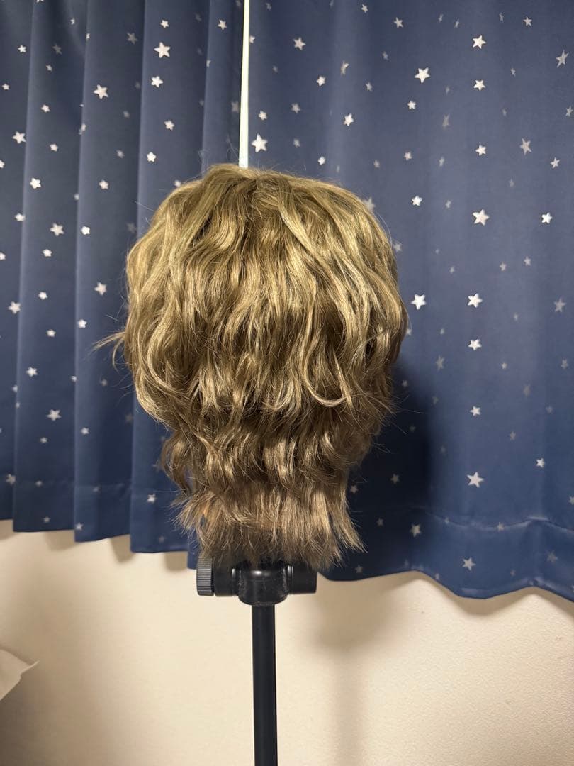 魔法使いの約束 ファウスト コスプレ 衣装 ウィッグ