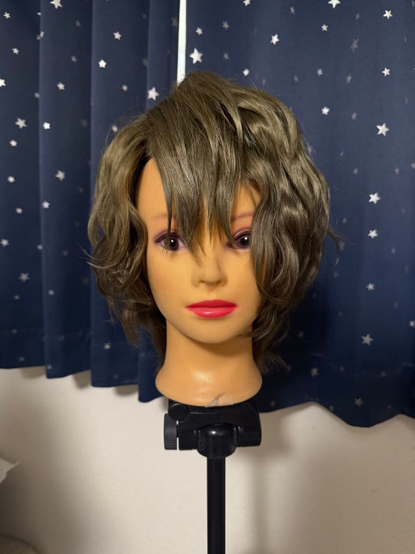 魔法使いの約束 ファウスト コスプレ 衣装 ウィッグ